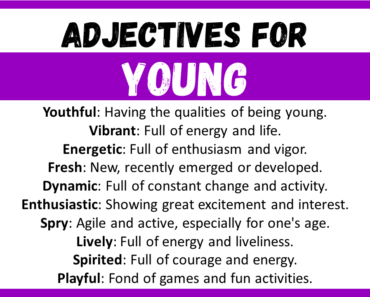 20+ Best Words to Describe a Young, Adjectives for Young