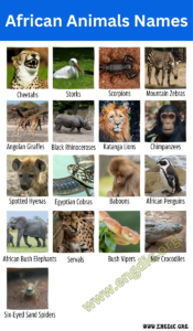 20+ African Animals Names with Pictures - EngDic