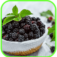 Blackberries Blackberries
