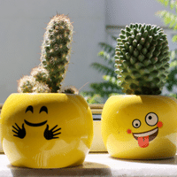 Cactus Plant
