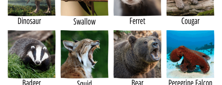 60+ Carnivores Animals Name (Flesh Eating Animals)