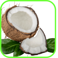 Coconut