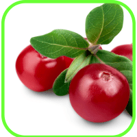 Cranberries Cranberries