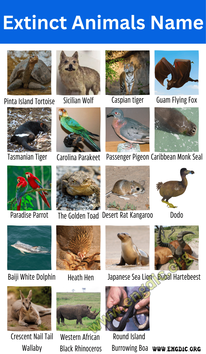100 Extinct Animals Name List A Z EngDic