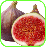 Fig