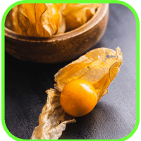 Ground cherries Ground cherries