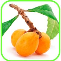 Loquats Loquats