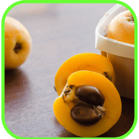 Medlars Medlars