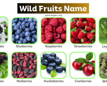 Explore 50+ Edible Wild Fruits Name with Pictures