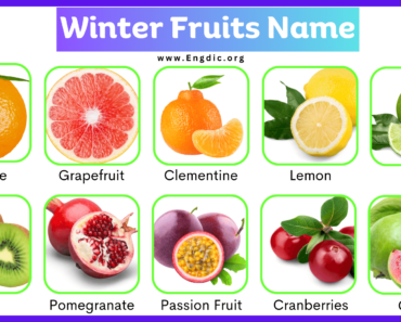 List of All Winter Fruits Name with Pictures