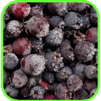 Serviceberries Serviceberries