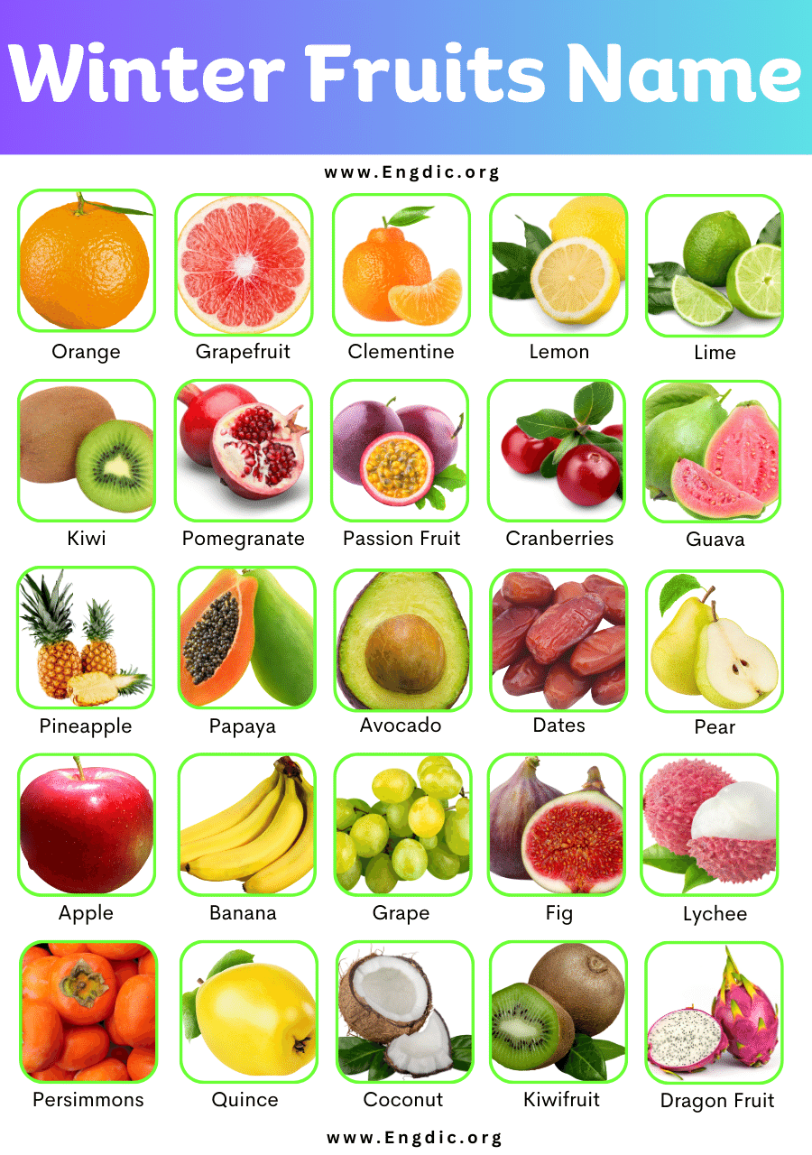 List Of All Winter Fruits Name With Pictures EngDic