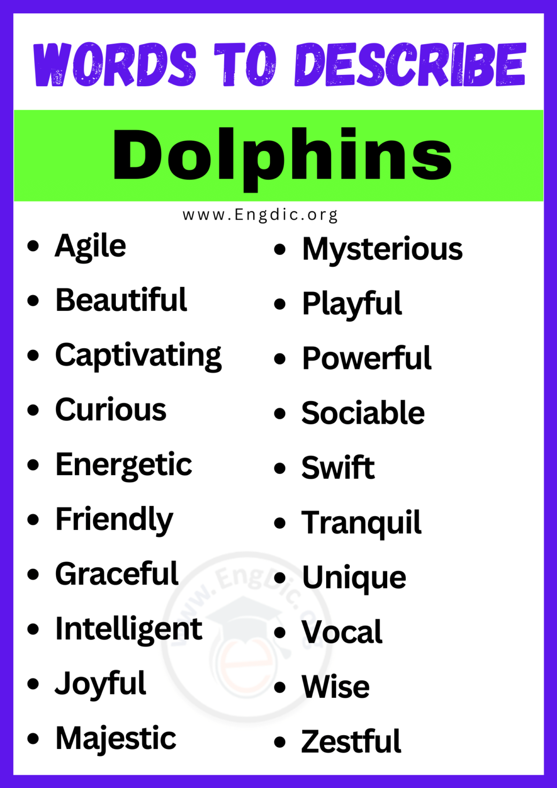 20+ Best Words to Describe Dolphins, Adjectives for Dolphins EngDic