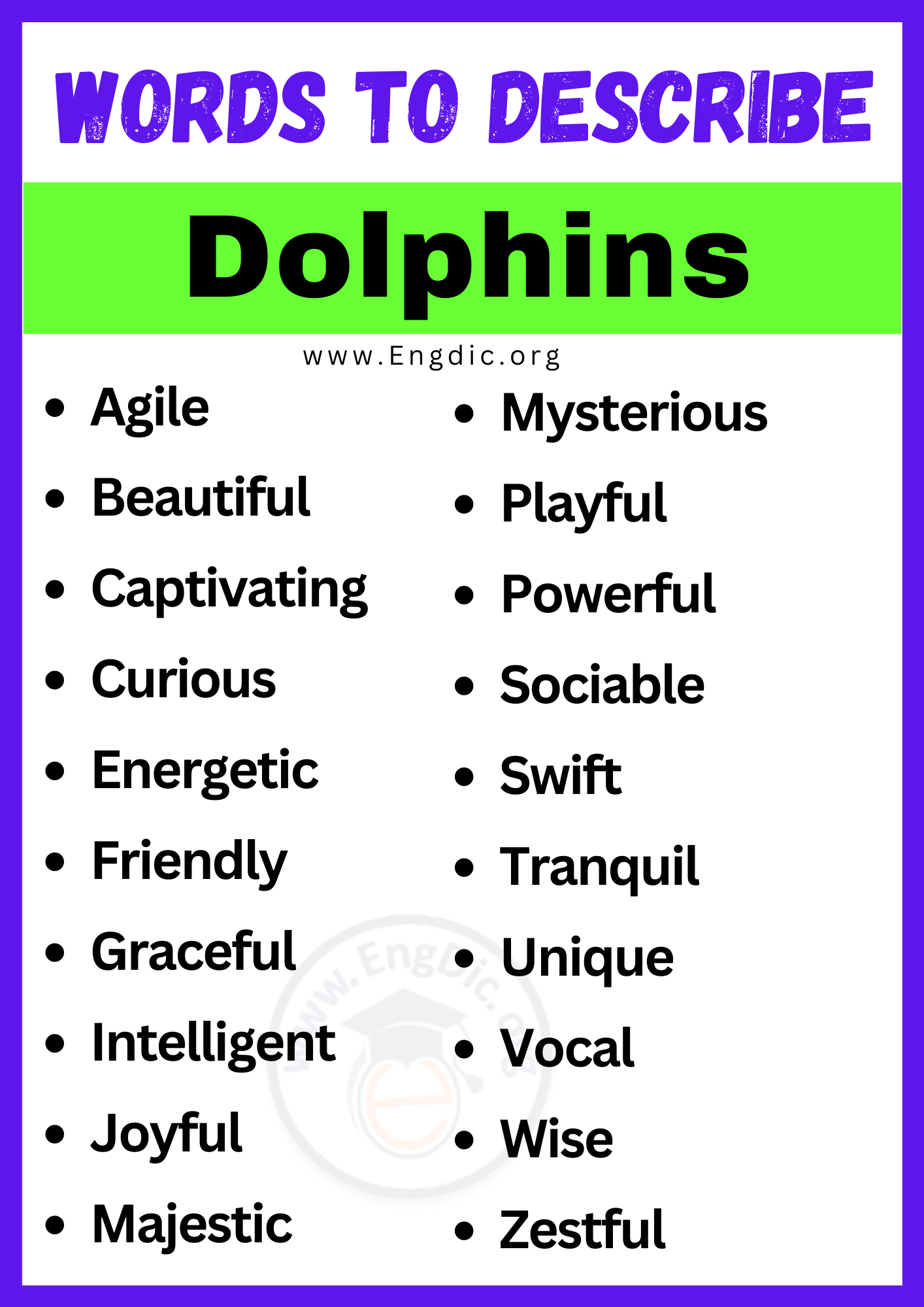 Words to Describe Dolphins