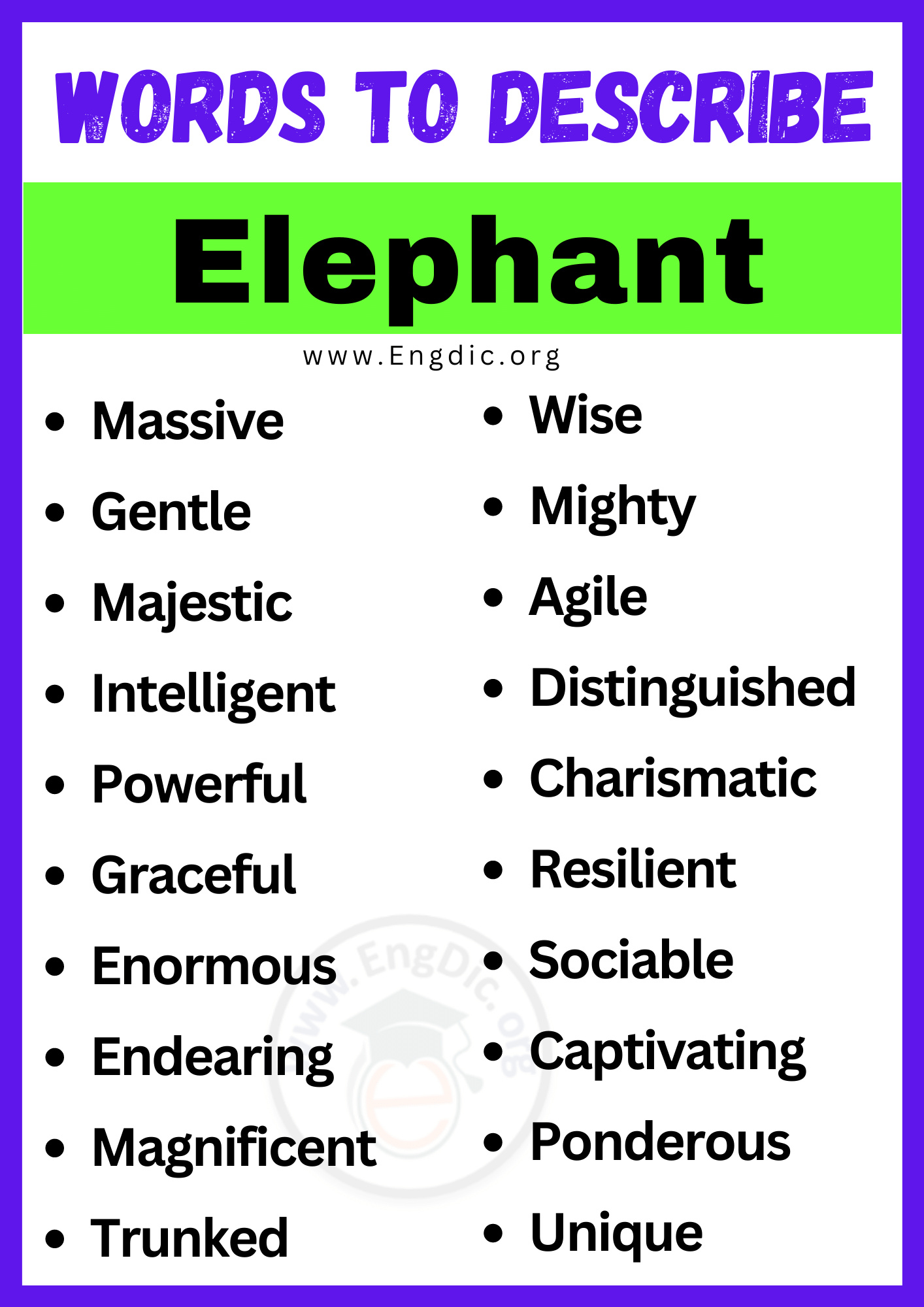 Words to Describe Elephant
