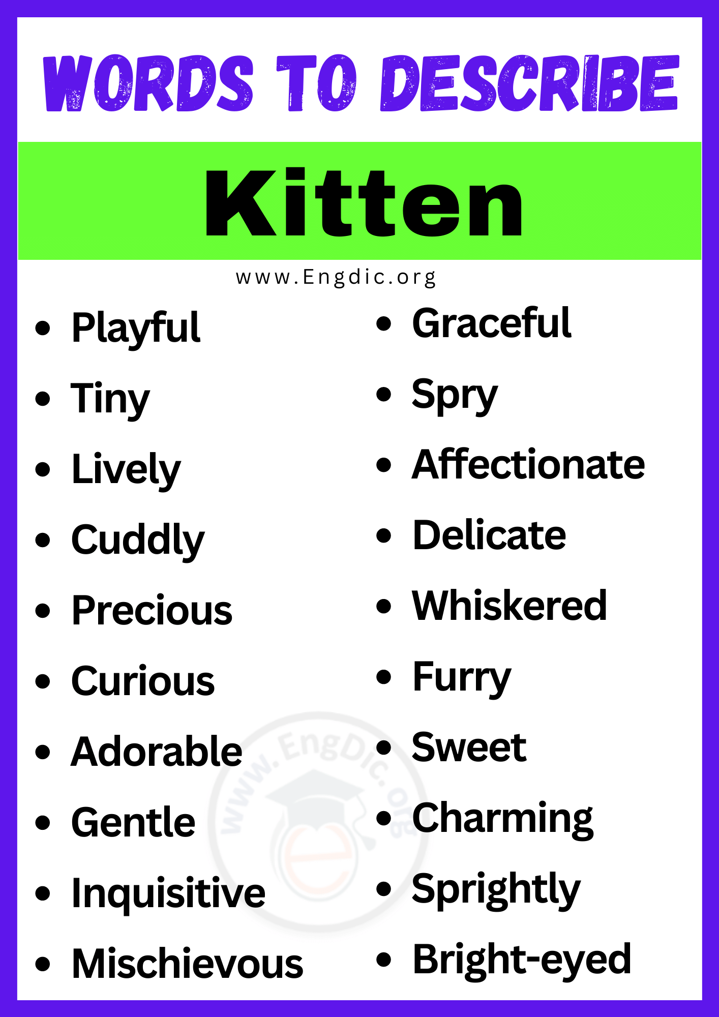 Words to Describe Kitten