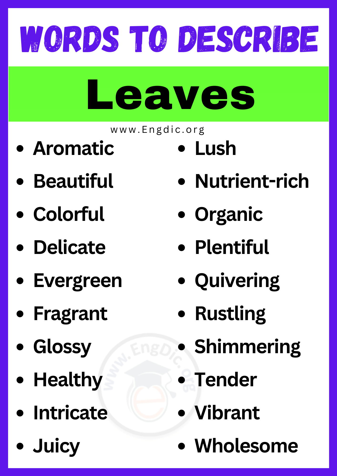 Words to Describe Leaves