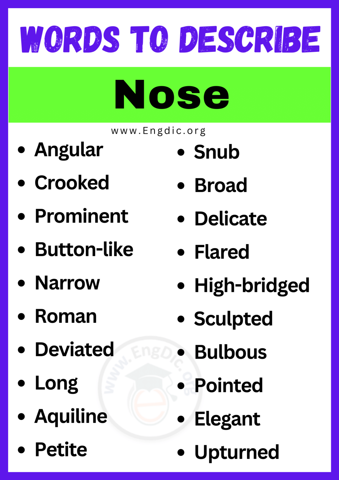 20+ Best Words to Describe Nose, Adjectives for Nose - EngDic