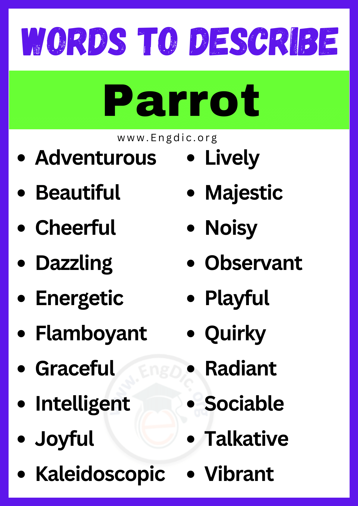 Words to Describe Parrot