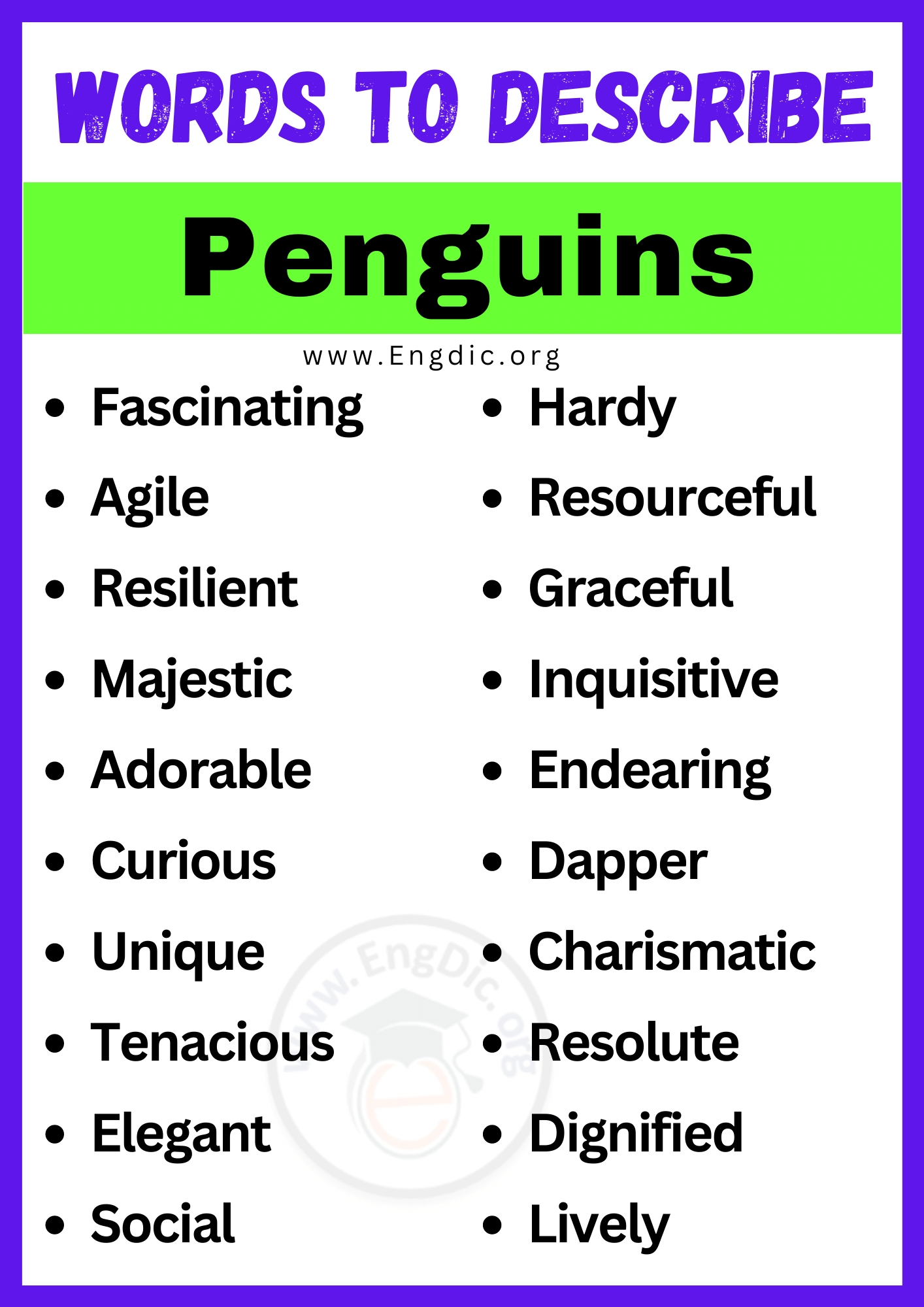 Words to Describe Penguins