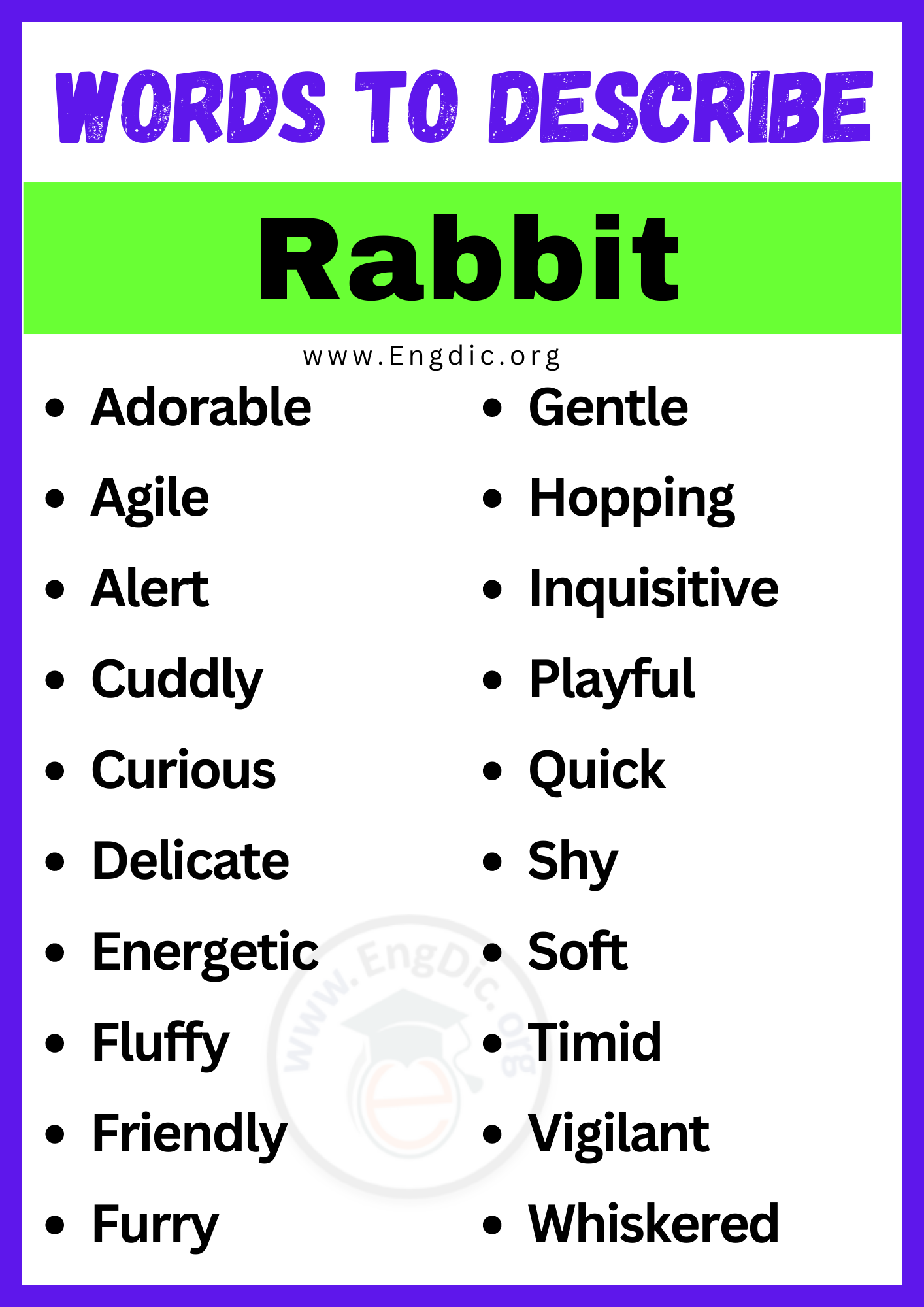 Words to Describe Rabbit