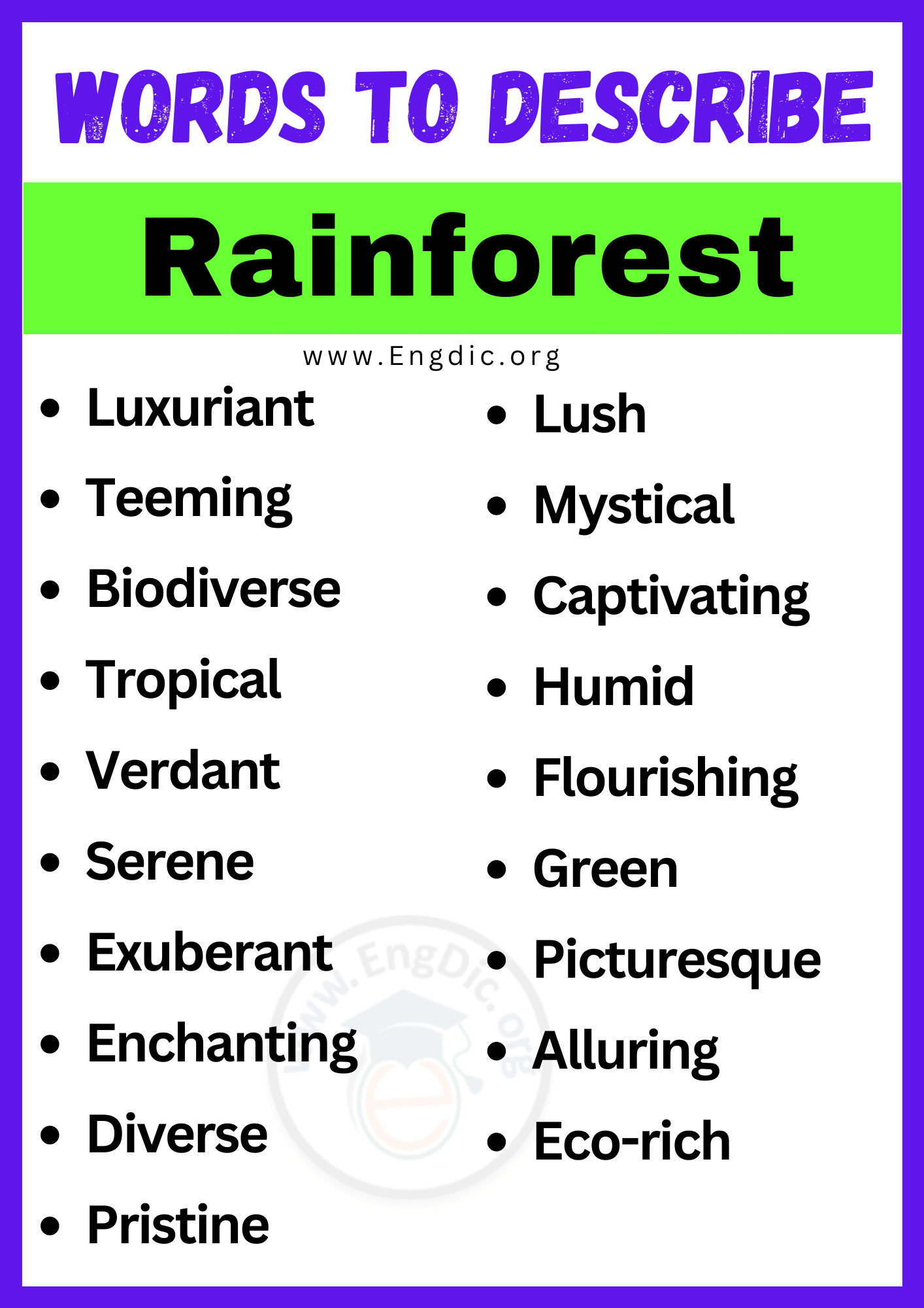 Words to Describe Rainforest