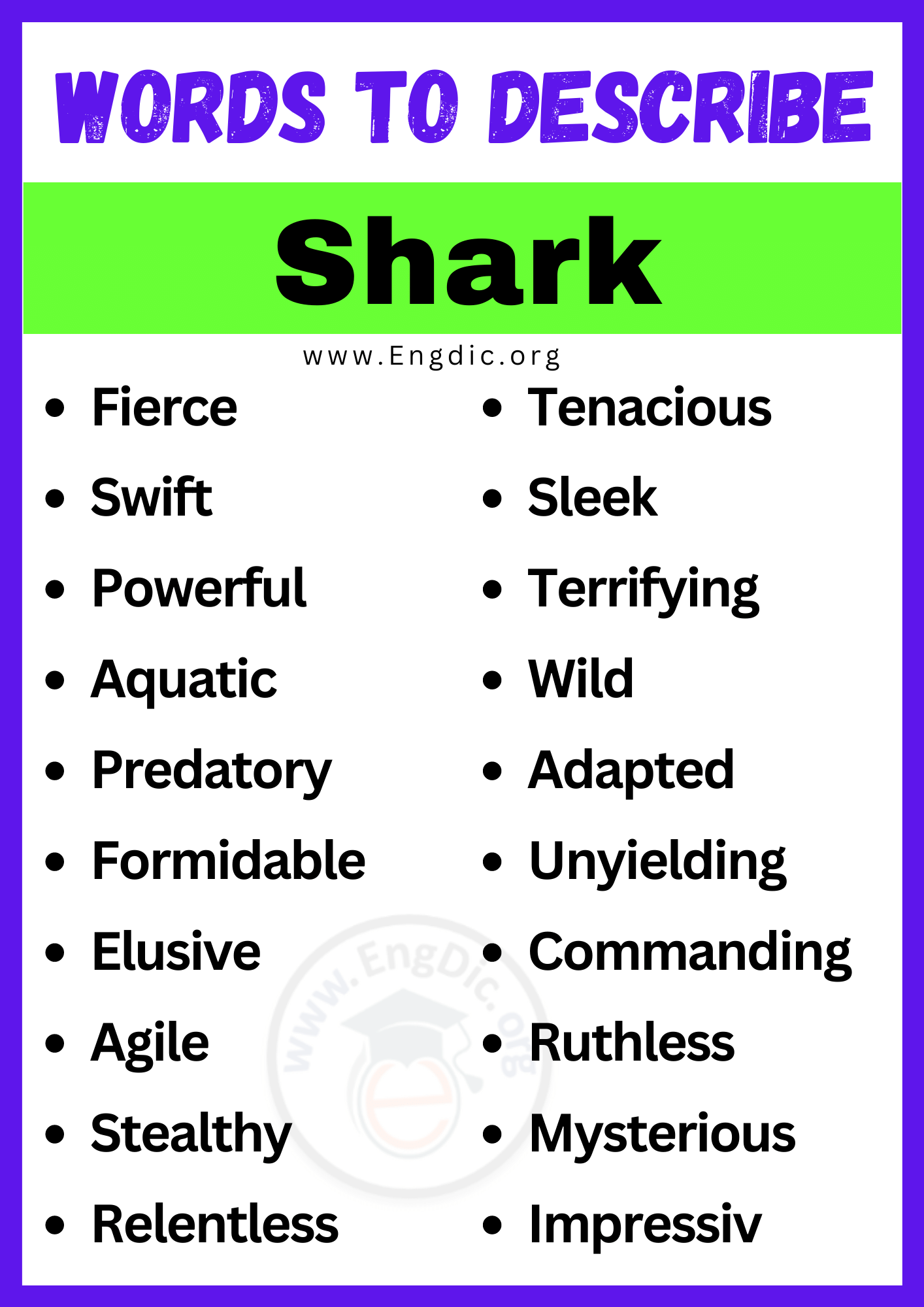Words to Describe Shark