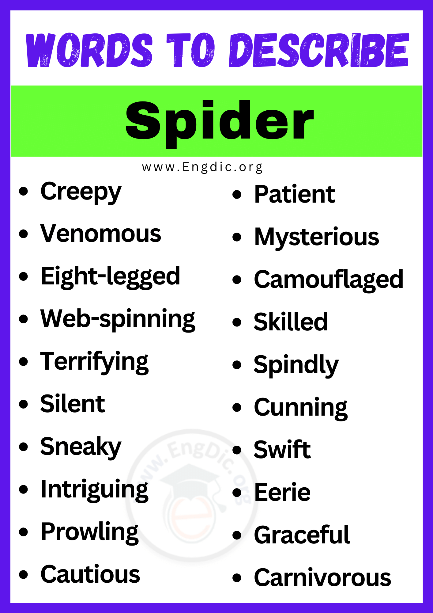Words to Describe Spider