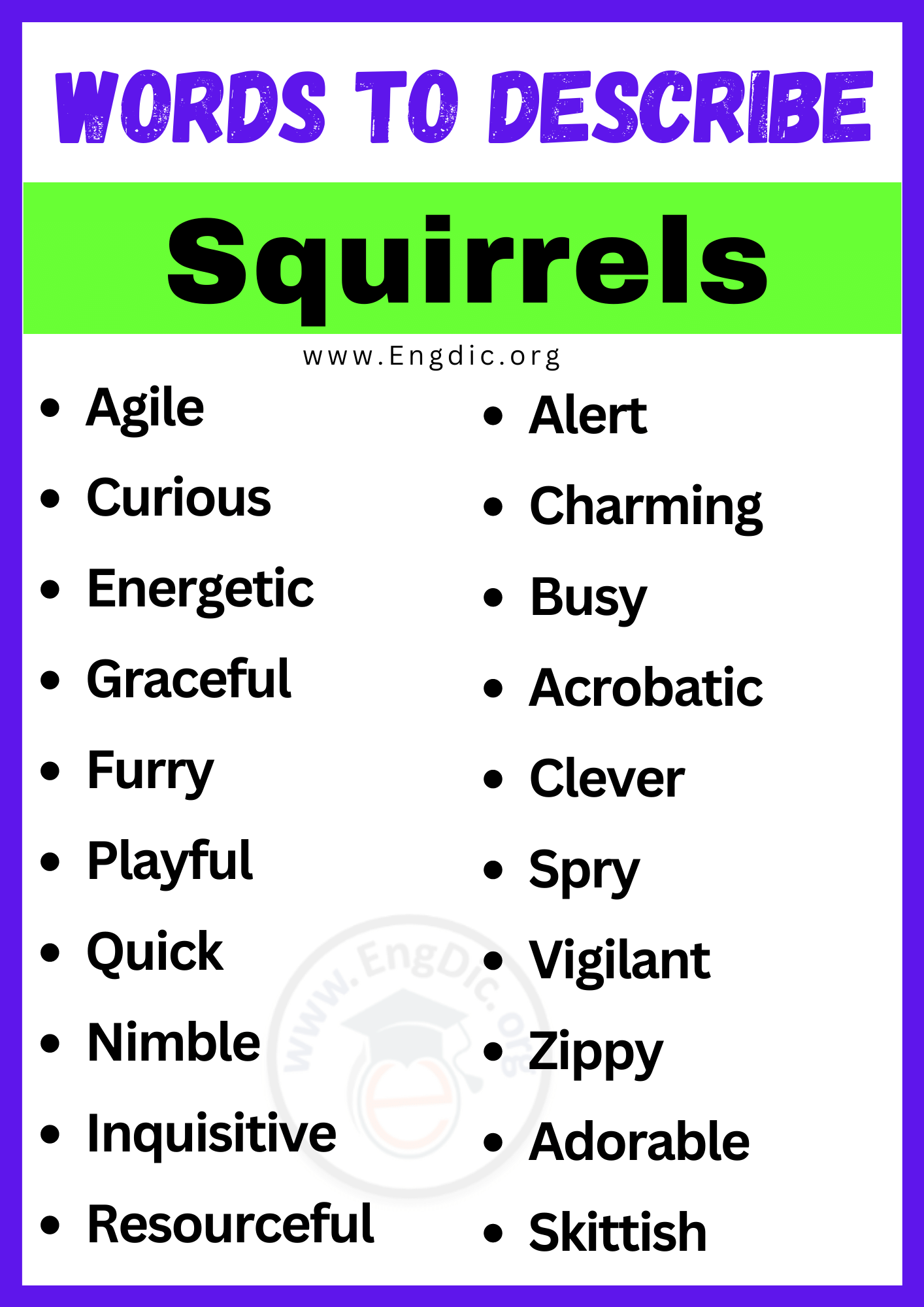 Words to Describe Squirrels
