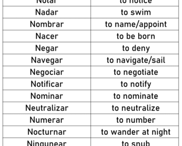 150+ Spanish Verbs That Start With N