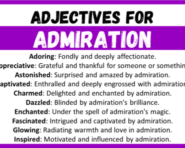 20+ Best Words to Describe Admiration, Adjectives for Admiration