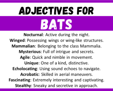 20+ Best Words to Describe Bats, Adjectives for Bats