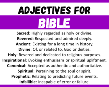 20+ Best Words to Describe Bible, Adjectives for Bible