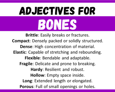 20+ Best Words to Describe Bones, Adjectives for Bones