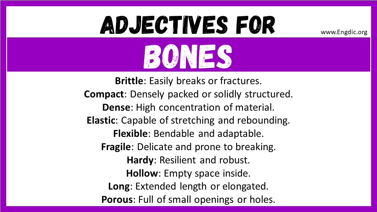 Adjectives for Bones