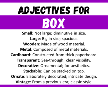 20+ Best Words to Describe Box, Adjectives for Box