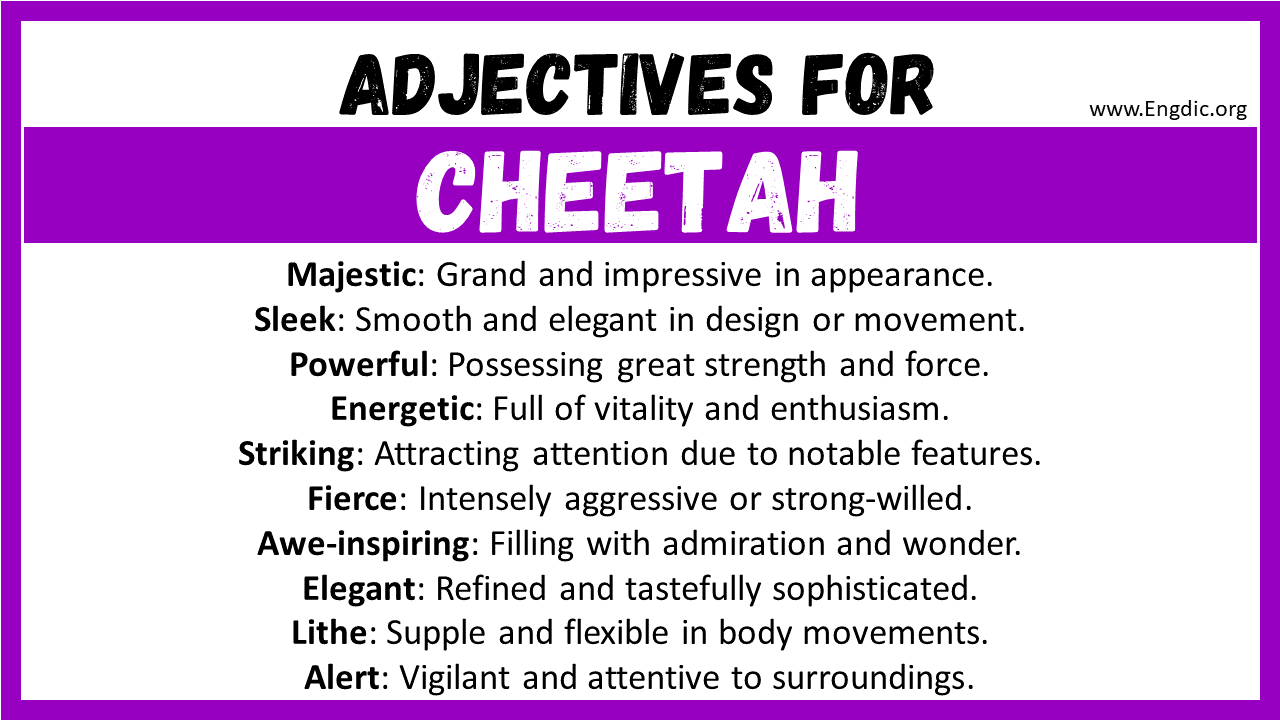 Adjectives for Cheetah