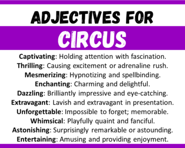 20+ Best Words to Describe Circus, Adjectives for Circus
