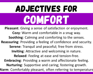 20+ Best Words to Describe Comfort, Adjectives for Comfort