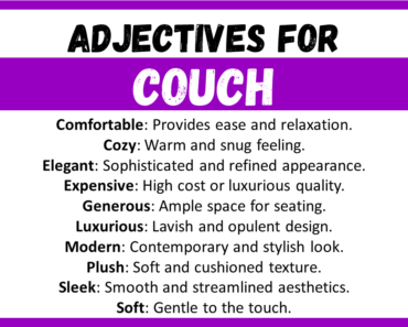 20+ Best Words to Describe Couch, Adjectives for Couch