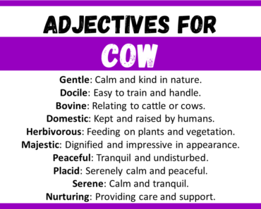 20+ Best Words to Describe Cow, Adjectives for Cow