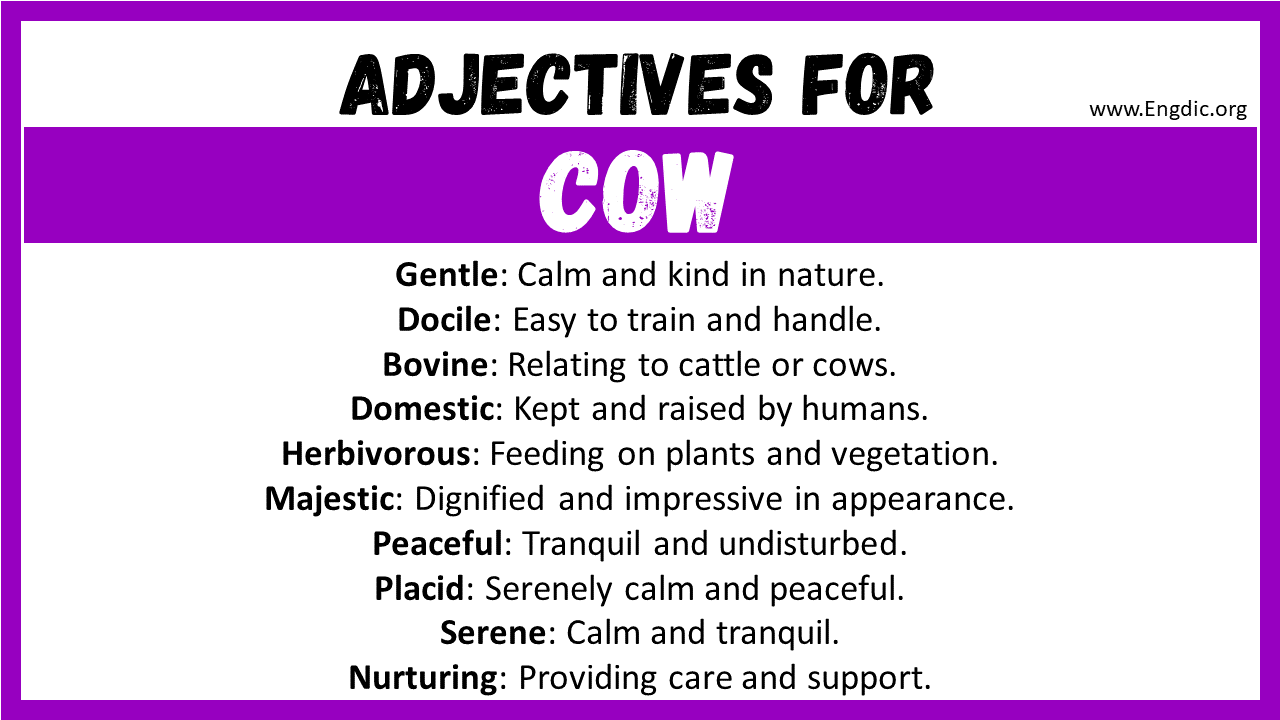 Adjectives for Cow