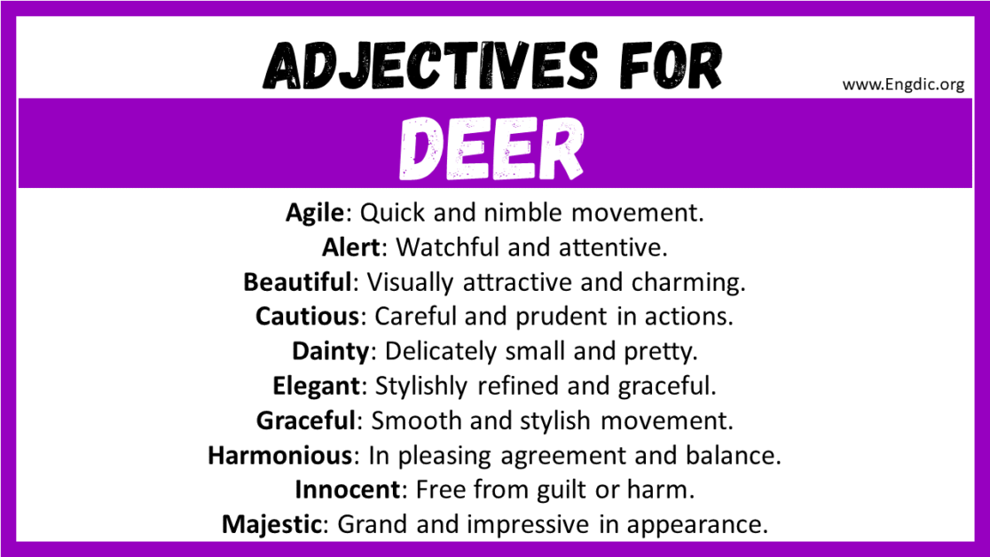 20+ Best Words to Describe Deer, Adjectives for Deer - EngDic