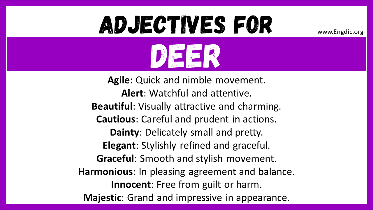 Adjectives for Deer