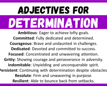 20+ Best Words to Describe Determination, Adjectives for Determination