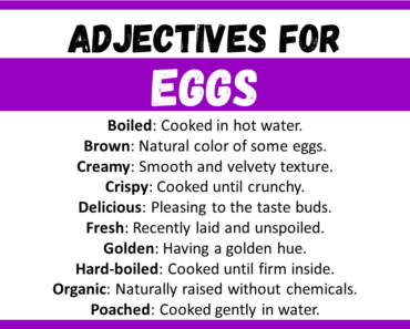 20+ Best Words to Describe Eggs, Adjectives for Eggs