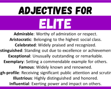 20+ Best Words to Describe Elite, Adjectives for Elite