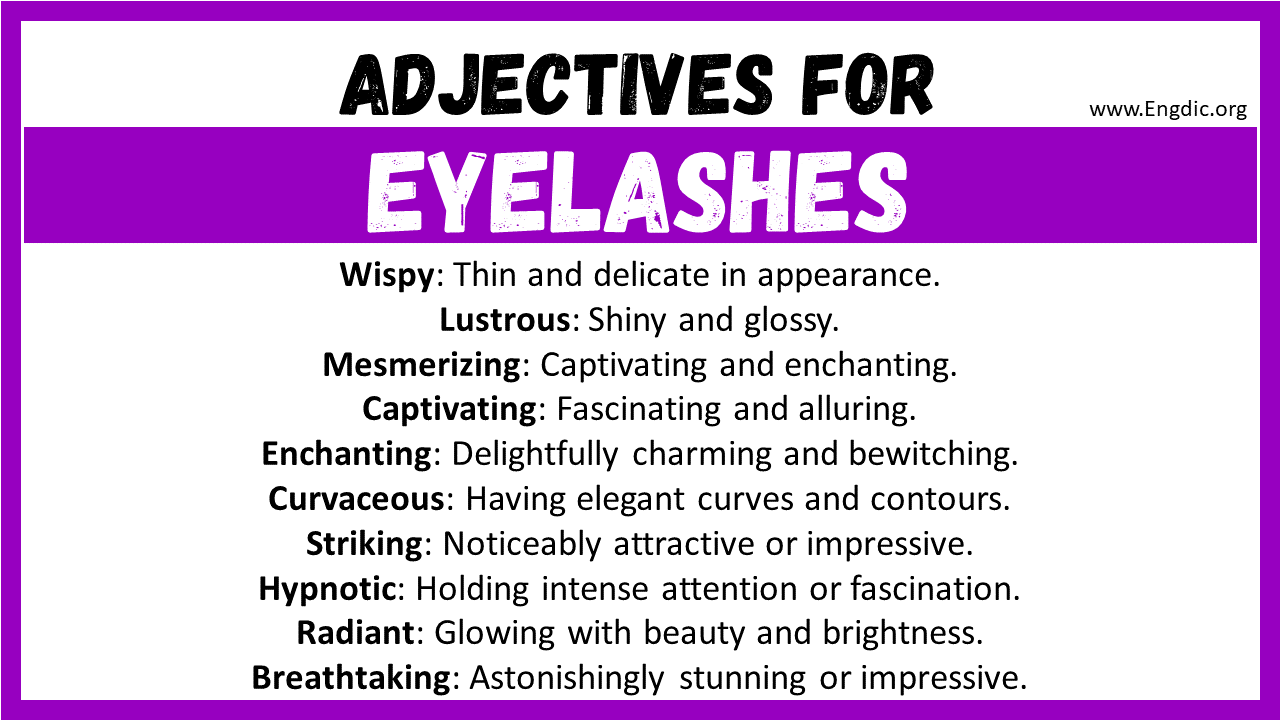 Adjectives for Eyelashes