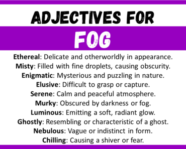 20+ Best Words to Describe Fog, Adjectives for Fog