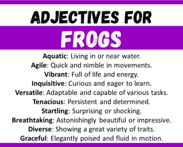 20+ Best Words to Describe Frogs, Adjectives for Frogs